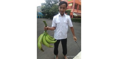Adiwiyata SALJU
