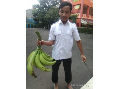 adiwiyata